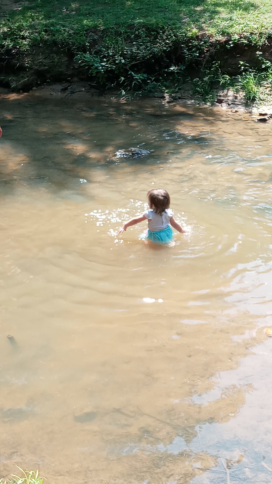 Sunset Park Campground | 1070 Sunset Park Rd, Walnut Cove, NC 27052, USA | Phone: (336) 593-2992