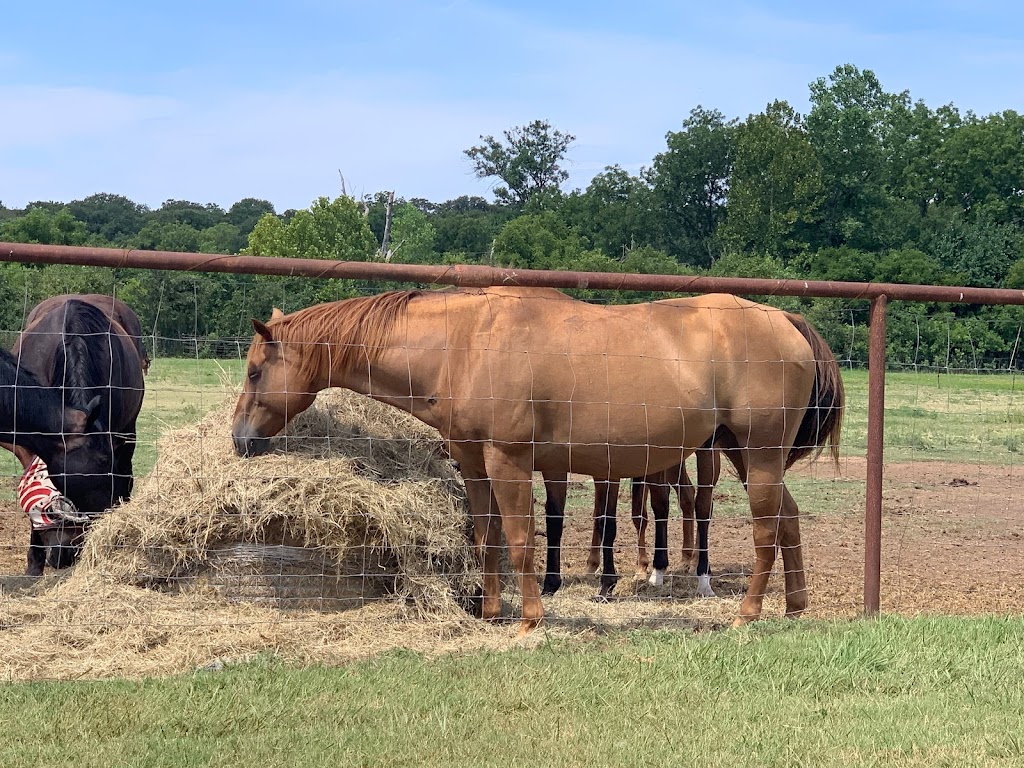 Celtic Cross Equestrian Center | 14100 E Cedar Lane Rd, Norman, OK 73026, USA | Phone: (405) 641-6607