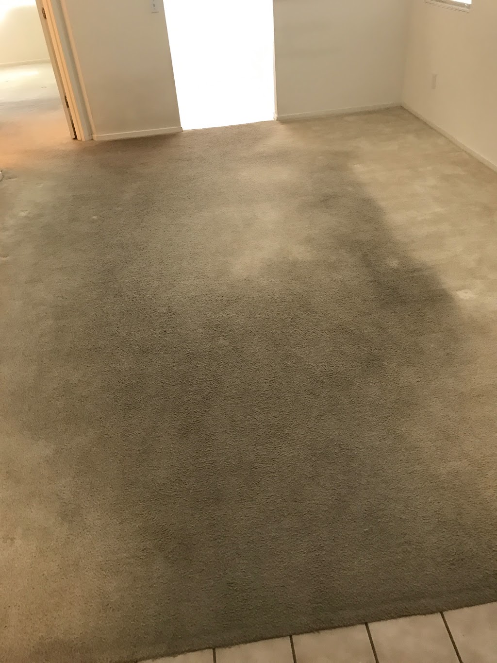 Dependable Carpet Cleaning | 10 Terri Ct, Oakley, CA 94561, USA | Phone: (925) 516-0911