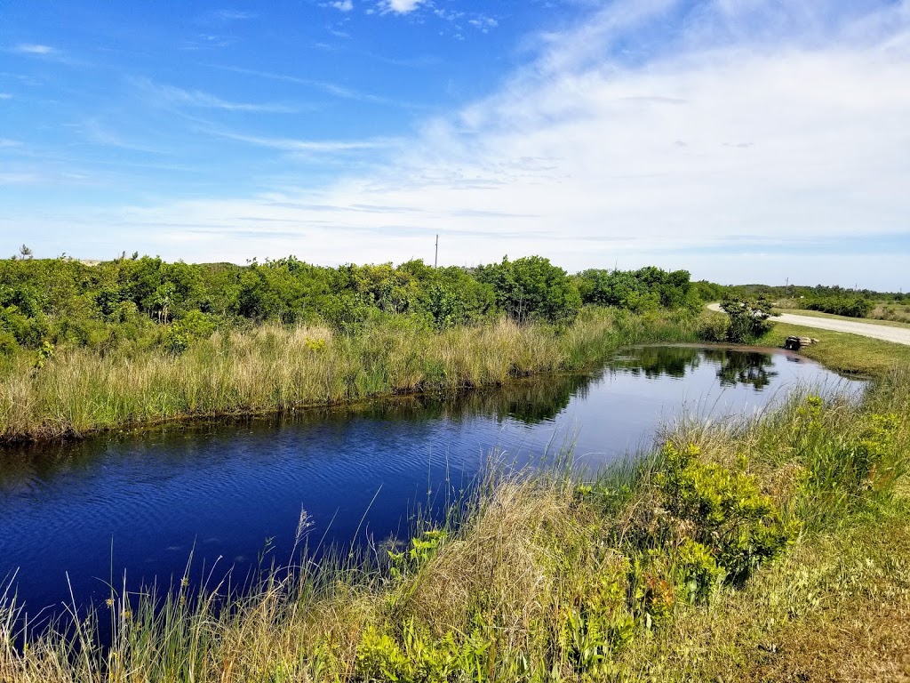 Back Bay National Wildlife Refuge | 4005 Sandpiper Rd, Virginia Beach, VA 23456, USA | Phone: (757) 301-7329