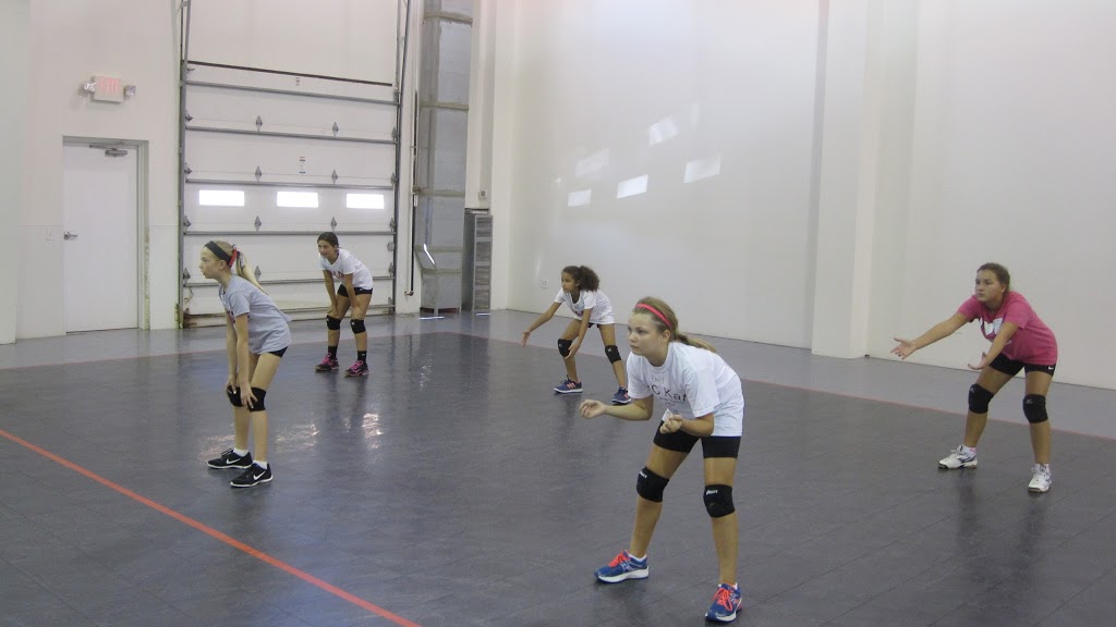 NC Kat Volleyball | 250 Premier Dr, Holly Springs, NC 27540, USA | Phone: (919) 633-9880