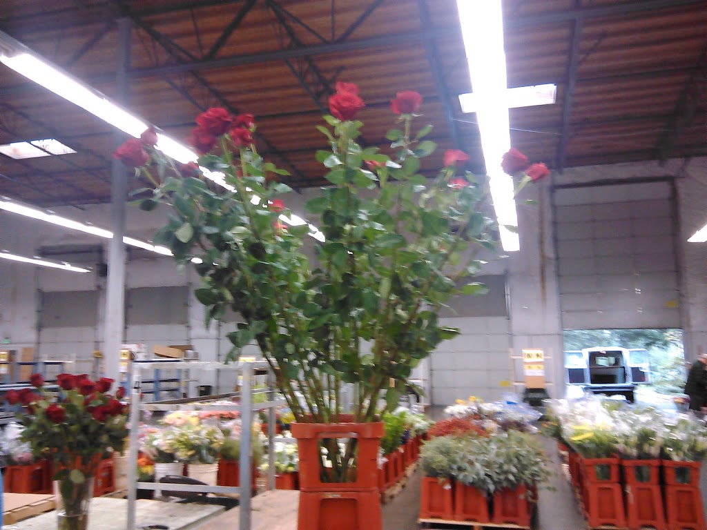 DWF Seattle/Tacoma Wholesale Florist | 7327 S 228th St, Kent, WA 98032, USA | Phone: (253) 854-5800