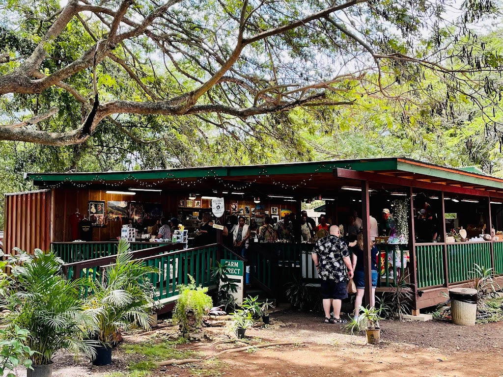 North Shore Macadamia Nut Company | 62330 Kamehameha Hwy, Haleiwa, HI 96712, USA | Phone: (808) 375-0698