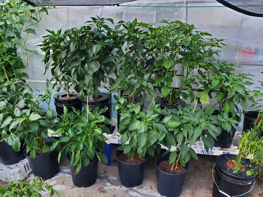 Ultra Green Hydroponics Inc | 9300 Telegraph Rd, Redford Charter Twp, MI 48239, USA | Phone: (313) 534-9376