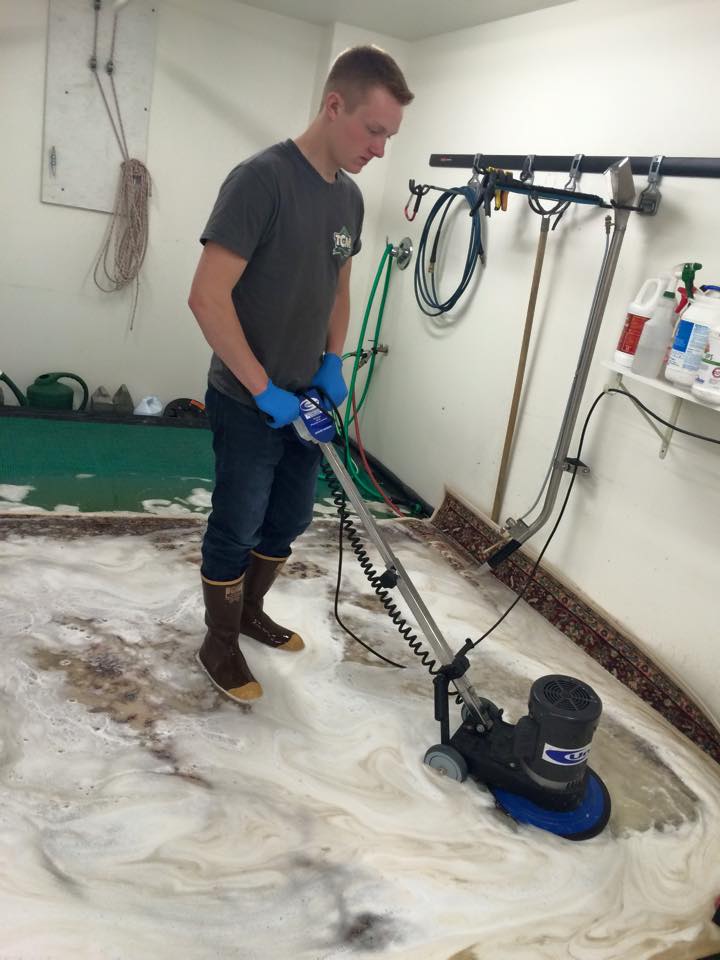 TCM Restoration & Cleaning | 5830 Updraft St, Palmer, AK 99645, USA | Phone: (907) 373-7410