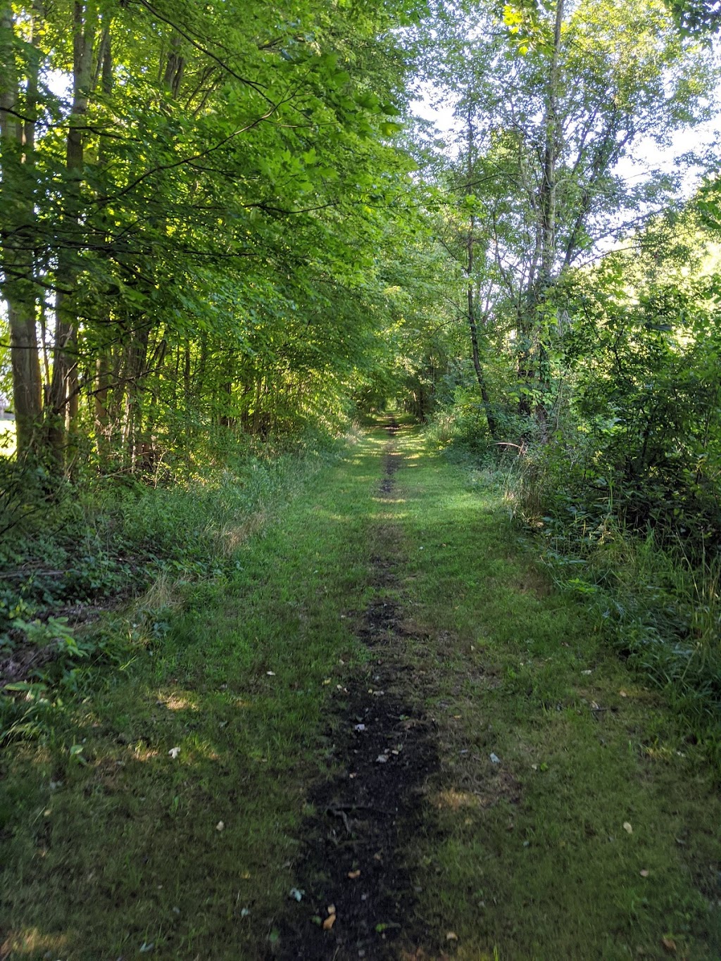 Chippewa Rail Trail parking lot | Chippewa Rd, Chippewa Lake, OH 44215, USA | Phone: (330) 722-9364