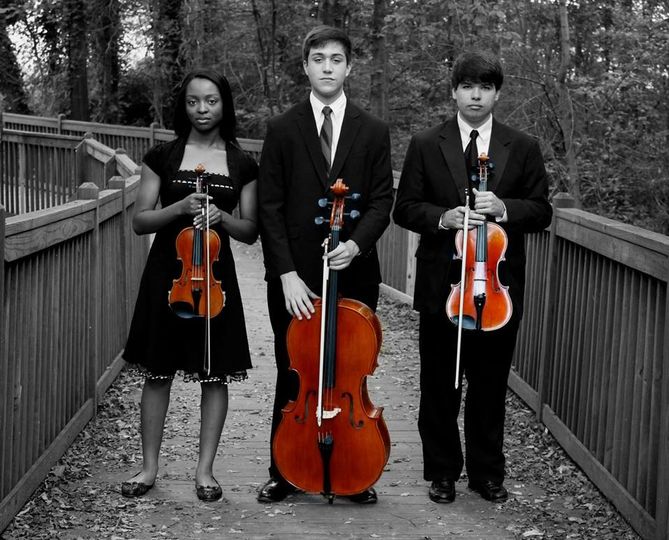 Upstate Strings Trio | 13212 Winter Hazel Rd, Charlotte, NC 28278, USA | Phone: (864) 561-8995