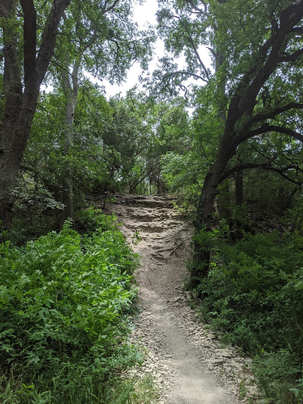 Brushy Creek Greenbelt | Brushy Creek Regional Trail, Austin, TX 78717, USA | Phone: (512) 401-5000