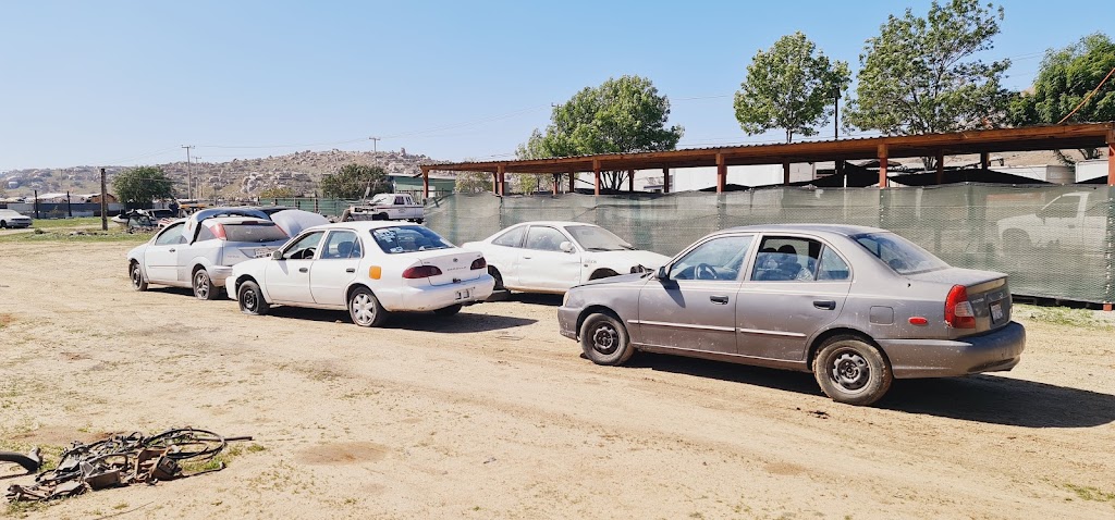 Yonke Cora | Rancho Tres Piedras, 22330 Rancho 3 Piedras, B.C., Mexico | Phone: 664 325 3358 Yonke Cora | Rancho Tres Piedras, 22330 Rancho 3 Piedras, B.C., Mexico | Phone: 664 325 3358