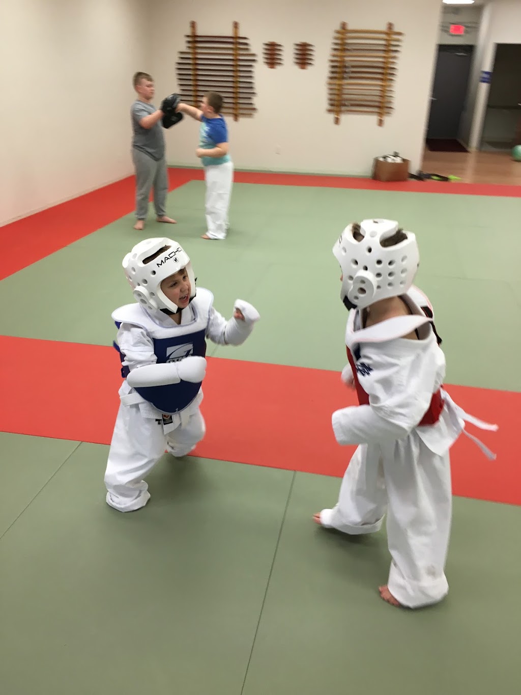 Great Lakes Kyokushin L.C. | 45021 W Pontiac Trail, Novi, MI 48377, USA | Phone: (586) 876-4309