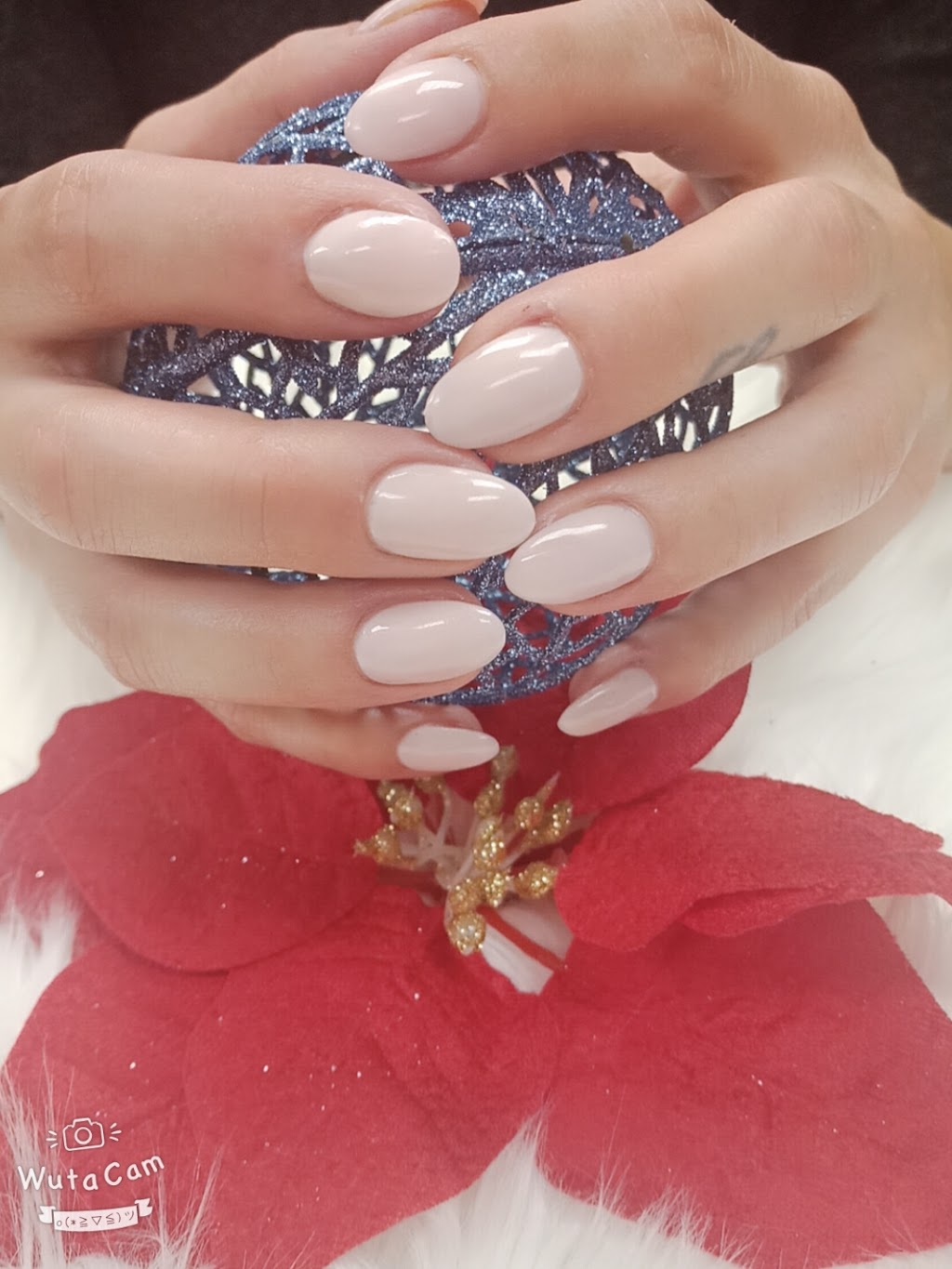 Orchid Nails & Spa | 3090 Legacy Park Drive, Windsor, ON N8W 5S6, Canada | Phone: (519) 972-1186