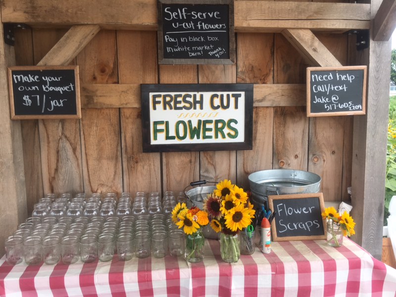 Gust Flower and Produce Farm | 11998 Rodesiler Hwy, Ottawa Lake, MI 49267, USA | Phone: (517) 605-2209