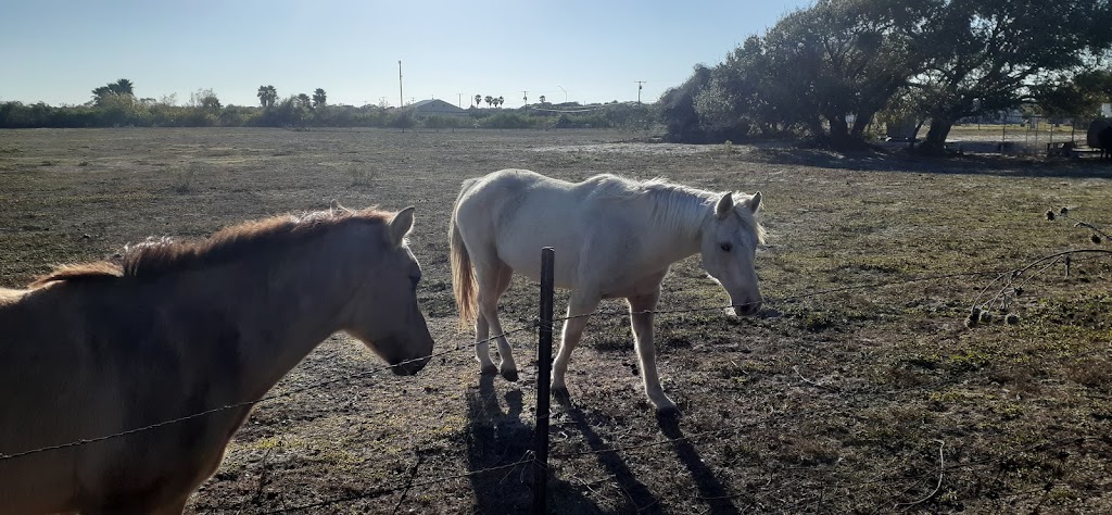 Redfish Bay RV Park | 300 E Beasley Ave, Aransas Pass, TX 78336, USA | Phone: (361) 226-1389