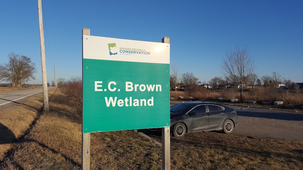 E. C. Brown Conservation Area, Wetland and Boat Launch | 536 River Rd, Fenwick, ON L0S 1C0, Canada | Phone: (905) 788-3135