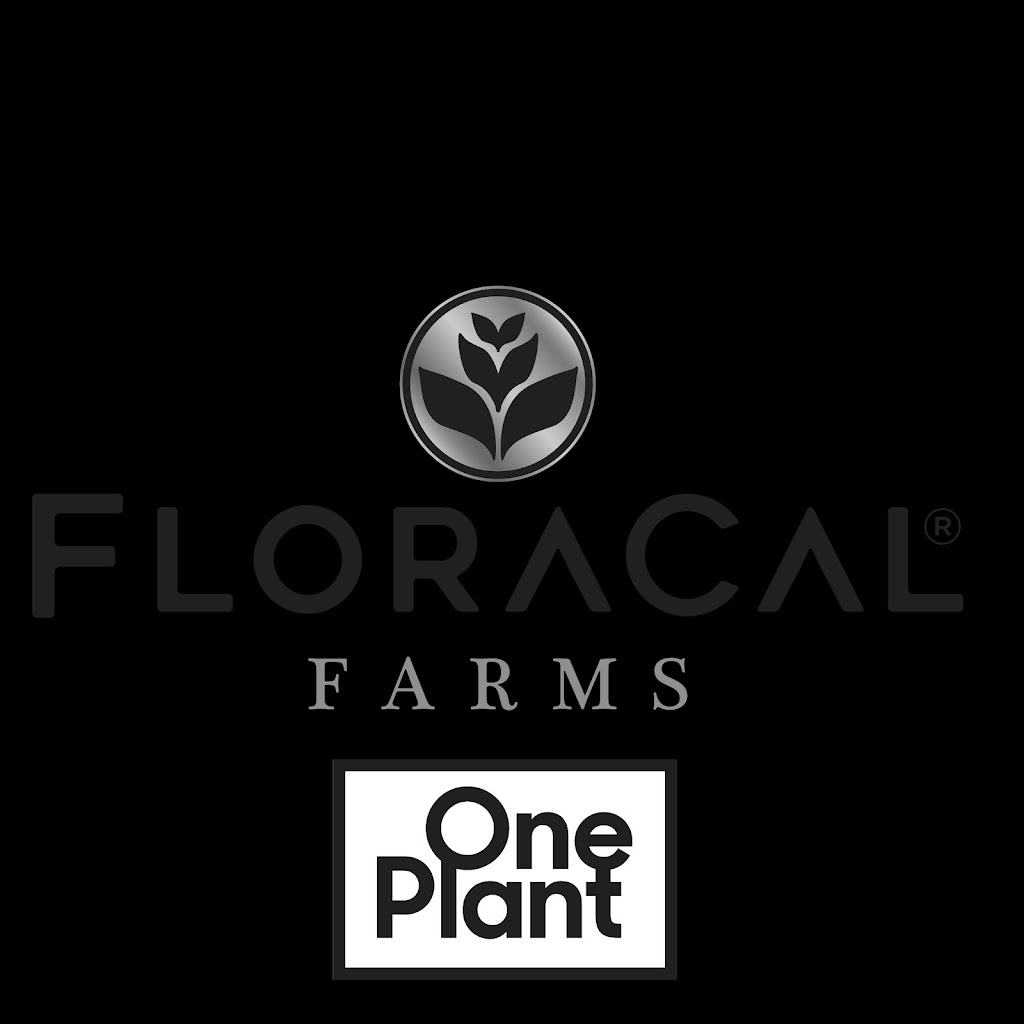 One Plant Delivery - Bay Area | 2701 W 10th St, Antioch, CA 94509, USA | Phone: (925) 339-9948