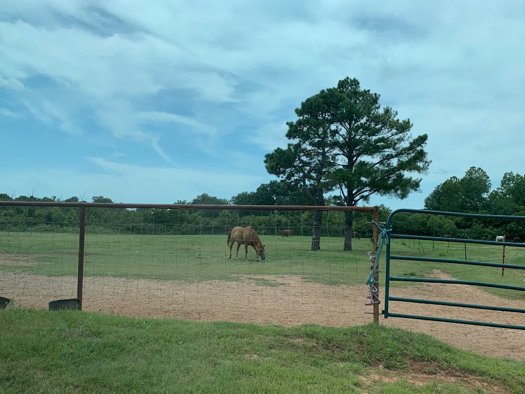 Celtic Cross Equestrian Center | 14100 E Cedar Lane Rd, Norman, OK 73026, USA | Phone: (405) 641-6607