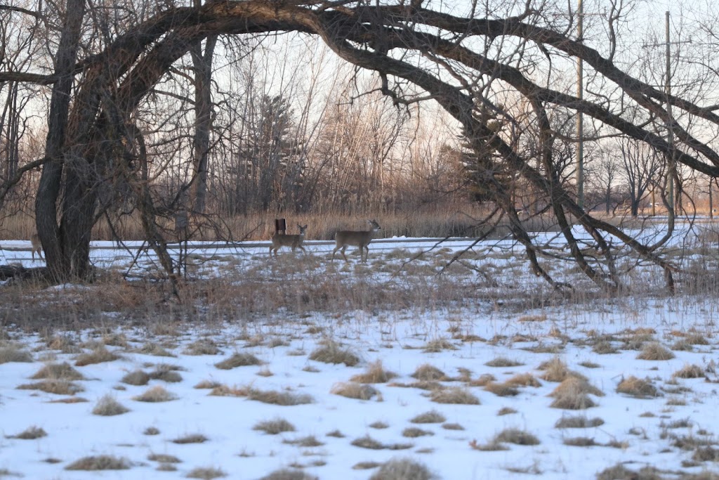 Lake St. Clair Metropark Nature Center | 31300 Metro Parkway, Harrison Twp, MI 48045, USA | Phone: (586) 463-4332