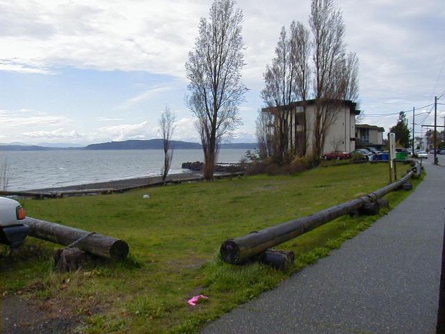 Cormorant Cove | 3701 Beach Dr SW, Seattle, WA 98116, USA | Phone: (206) 684-4075