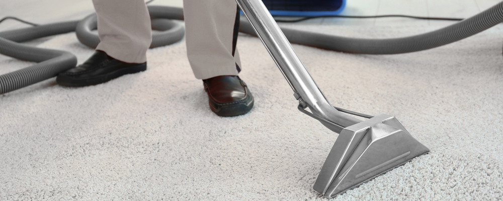 Carpet Cleaning Irving TX | 2310 W Shady Grove Rd, Irving, TX 75060, USA | Phone: (214) 519-8493