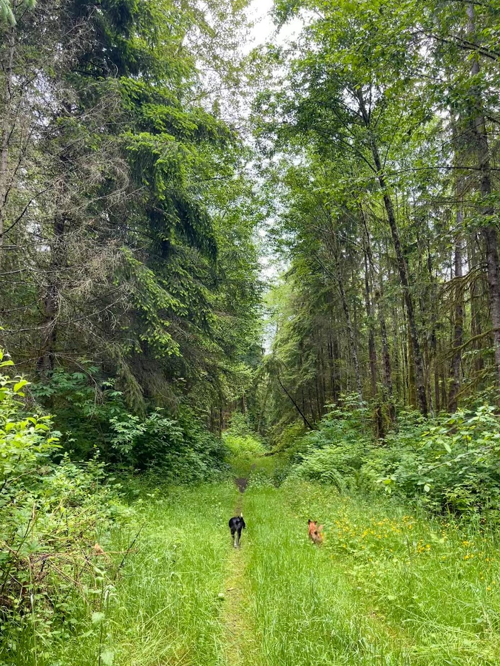 Black Pond Farm | 22129 Dubuque Rd, Snohomish, WA 98290, USA | Phone: (425) 241-2823