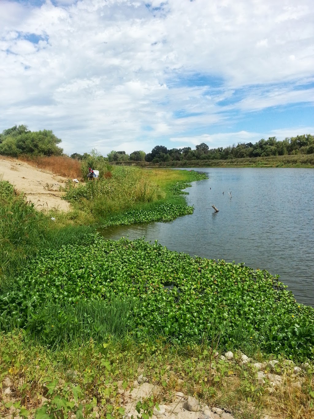 San Joaquin River National Wildlife Refuge | 2714 Dairy Rd, Vernalis, CA 95385, USA | Phone: (209) 826-3508