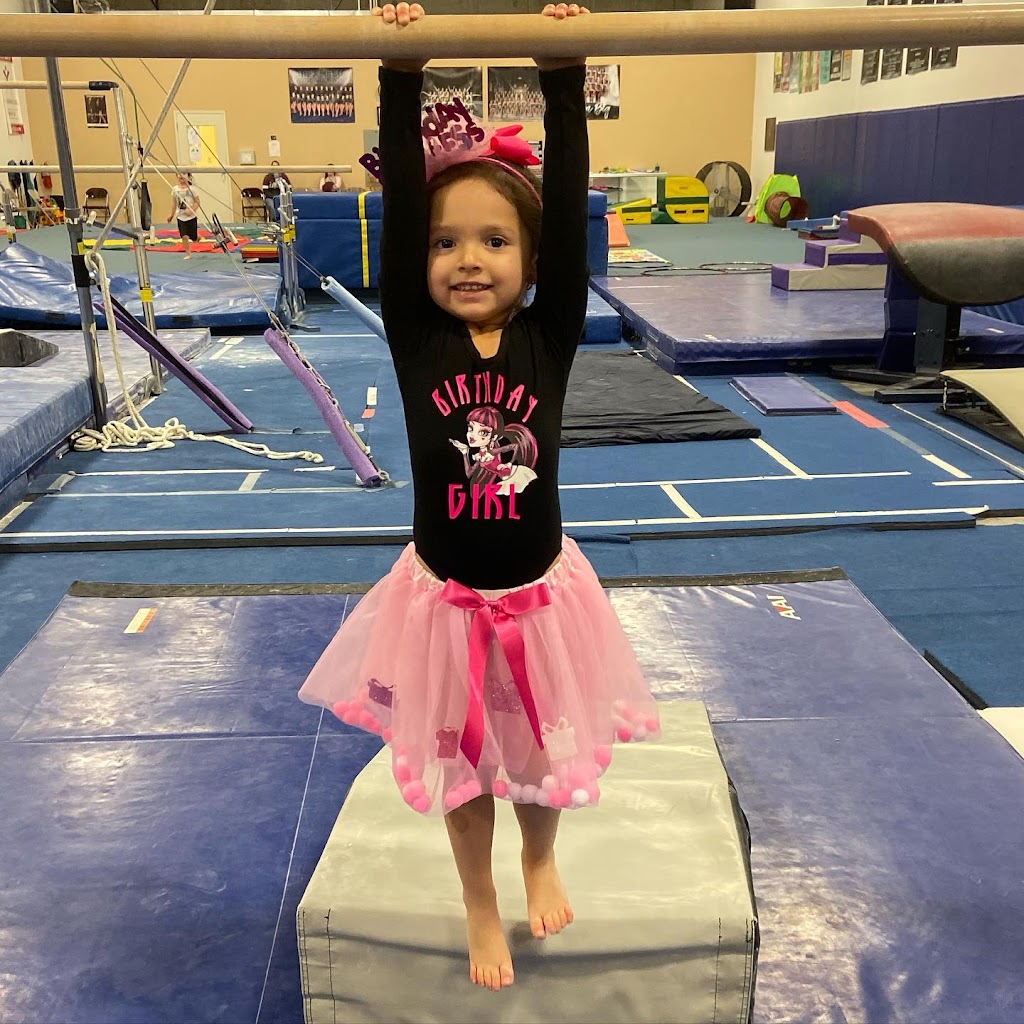 Dream Big Gymnastics | 6340 Ameriplex Dr #102, Portage, IN 46368, USA | Phone: (708) 650-0916