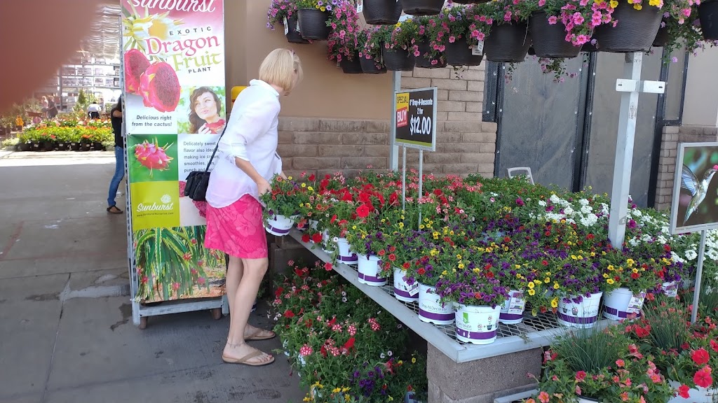 Lowes Garden Center | 3899 S High St, Columbus, OH 43207, USA | Phone: (614) 497-6170