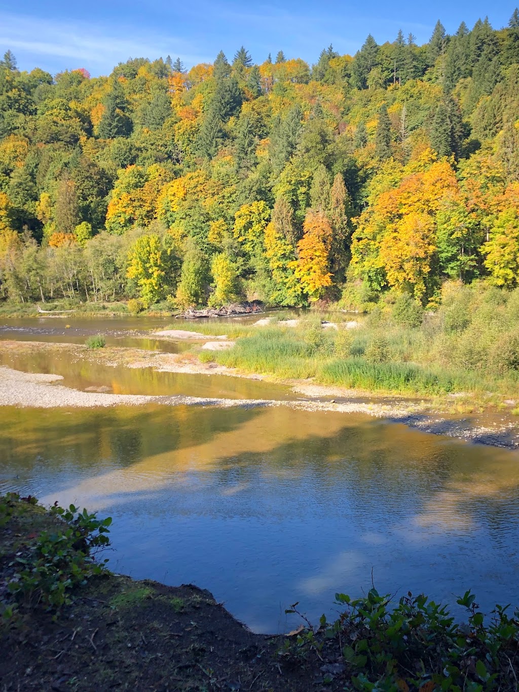 Oxbow Regional Park | 3010 SE Oxbow Pkwy, Gresham, OR 97080, USA | Phone: (503) 663-4708