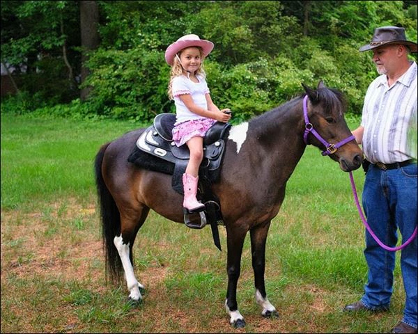 Pony Time Ranch & Mobile Petting Zoo | Lowellville, OH 44436, USA | Phone: (330) 503-6004