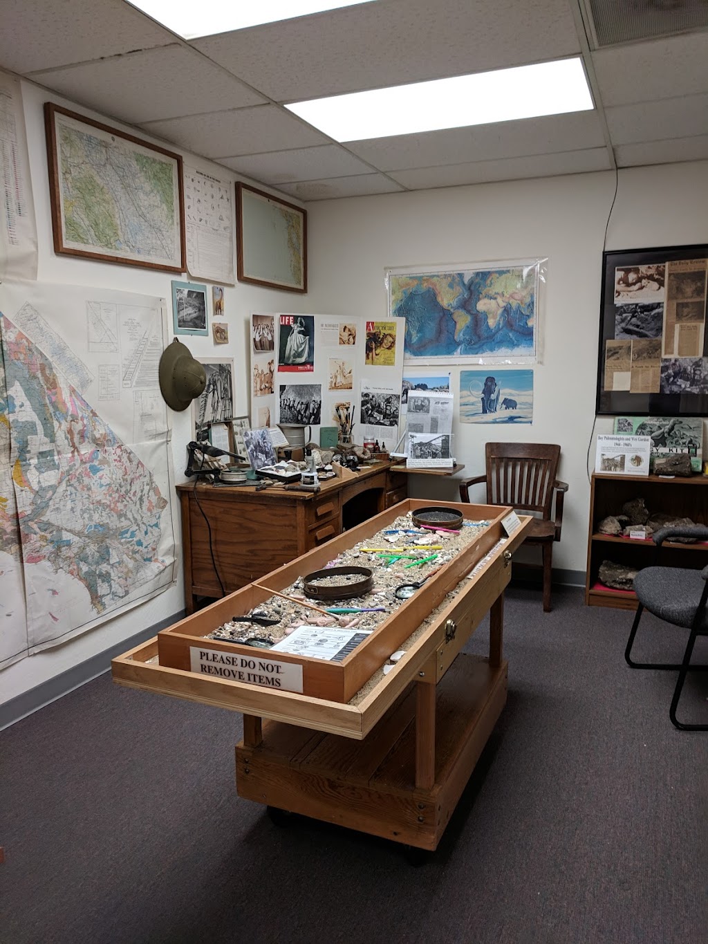 Childrens Natural History Museum | 4074 Eggers Dr, Fremont, CA 94536, USA | Phone: (510) 790-6284