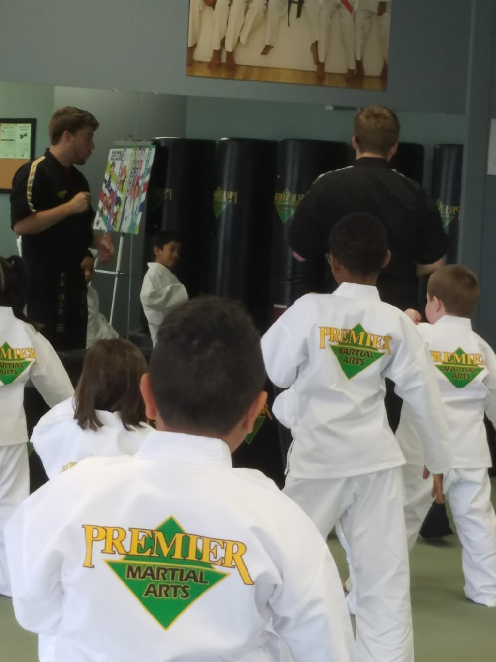 Premier Martial Arts Grand Prairie | 5145 Lake Ridge Pkwy Suite #111, Grand Prairie, TX 75052, USA | Phone: (469) 610-5455