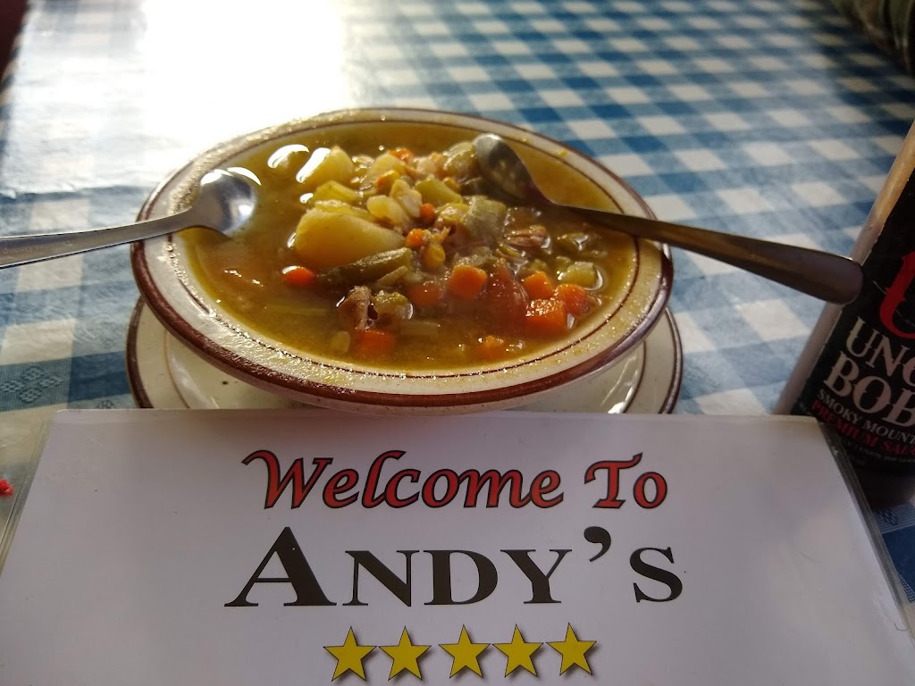 Andys Coney Island | 19458 Van Horn Rd, Woodhaven, MI 48183, USA | Phone: (734) 692-9019