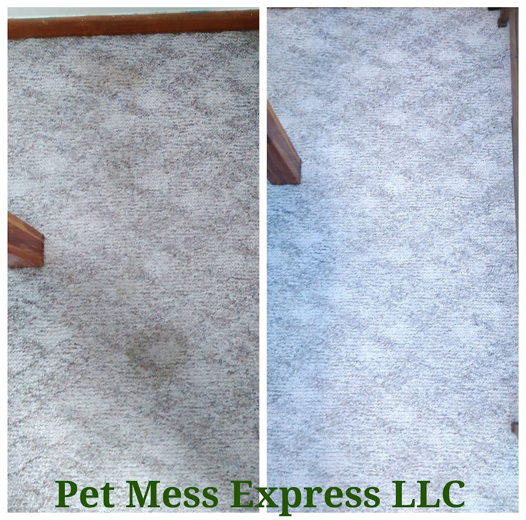 Pet Mess Express | 120 Washington St, Carlisle, KY 40311, USA | Phone: (808) 372-2685