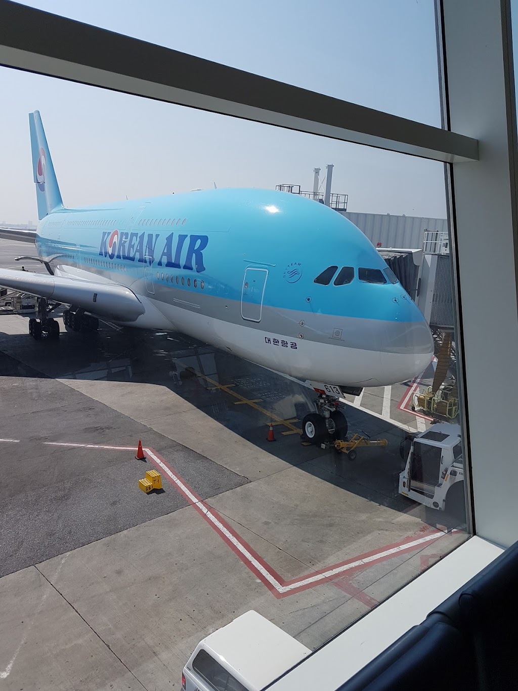 Turkish Airlines | John F. Kennedy International Airport, Terminal 1, 500 Terminal Dr, Queens, NY 11430, USA | Phone: (800) 874-8875