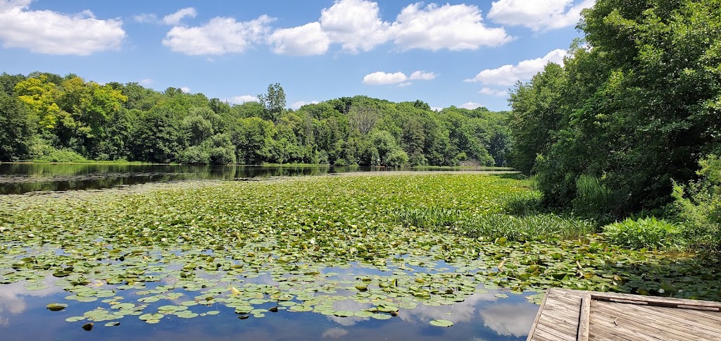 Bandemer Disc Golf | 1352 Lake Shore Dr, Ann Arbor, MI 48104, USA | Phone: (734) 883-4408