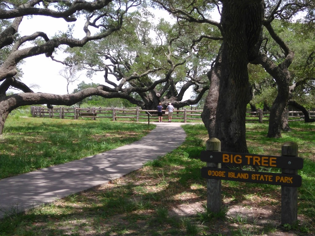 Goose Island State Park | 202 S Palmetto St, Rockport, TX 78382, USA | Phone: (361) 729-2858
