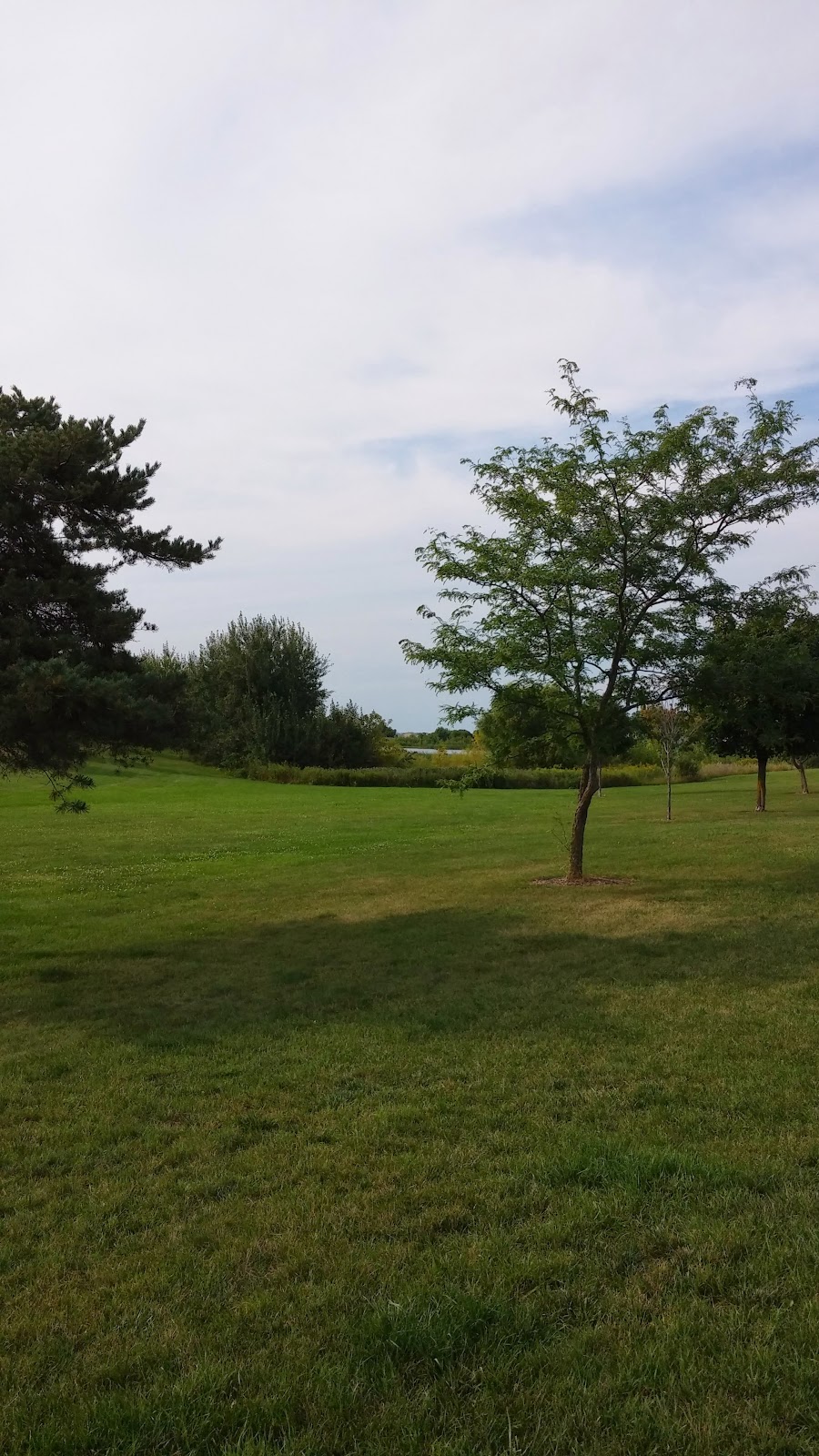 History of Jiujitsu | 4301 S Valley View Blvd #2, Las Vegas, NV 89103, USA | Phone: (917) 498-4604 History of Jiujitsu | 4301 S Valley View Blvd #2, Las Vegas, NV 89103, USA | Phone: (917) 498-4604