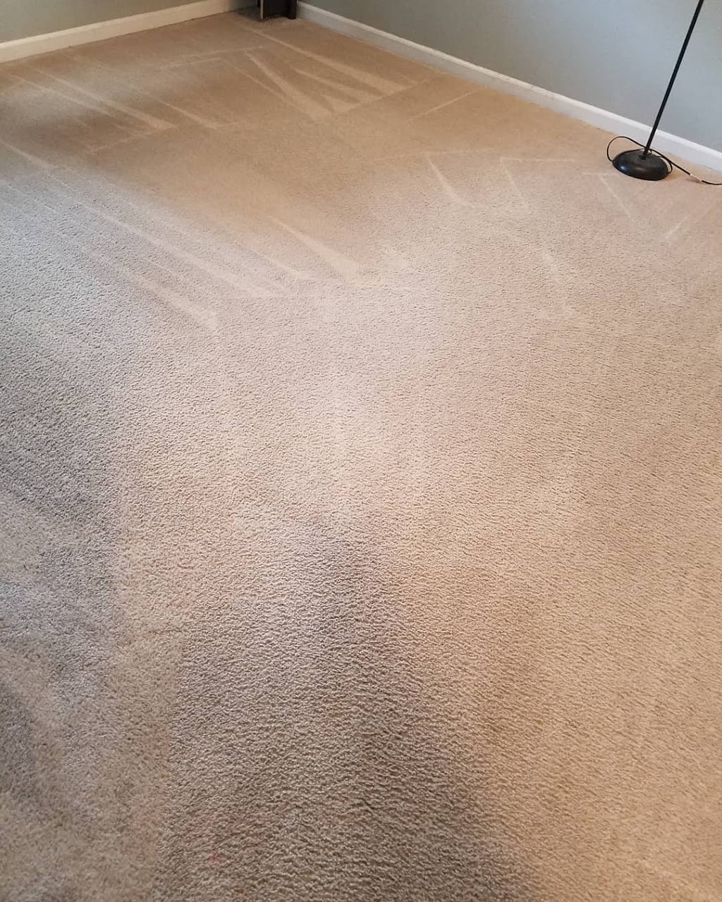 Indy Pro Steam Carpet & Upholstery LLC | 13760 N Dover Hill Dr, Camby, IN 46113, USA | Phone: (317) 438-4641