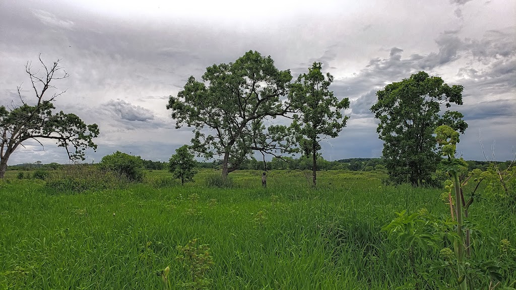 Sugar River Wetlands State Natural Area | Verona, WI 53593, USA | Phone: (888) 936-7463