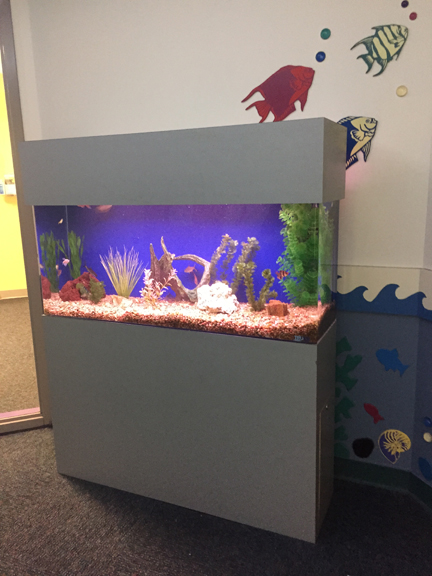 Aquarium Maintenance Service | 530 Moon Place Rd, Lawrenceville, GA 30044, USA | Phone: (770) 396-4889