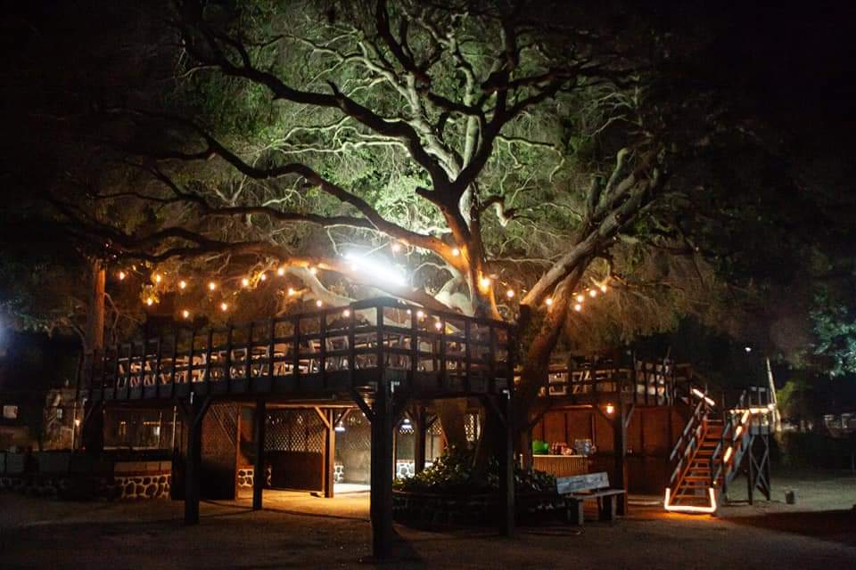 A LA SOMBRA DEL ARBOL | Benito Juárez 400, 22766 Villa de Juárez, B.C., Mexico | Phone: 646 327 4048