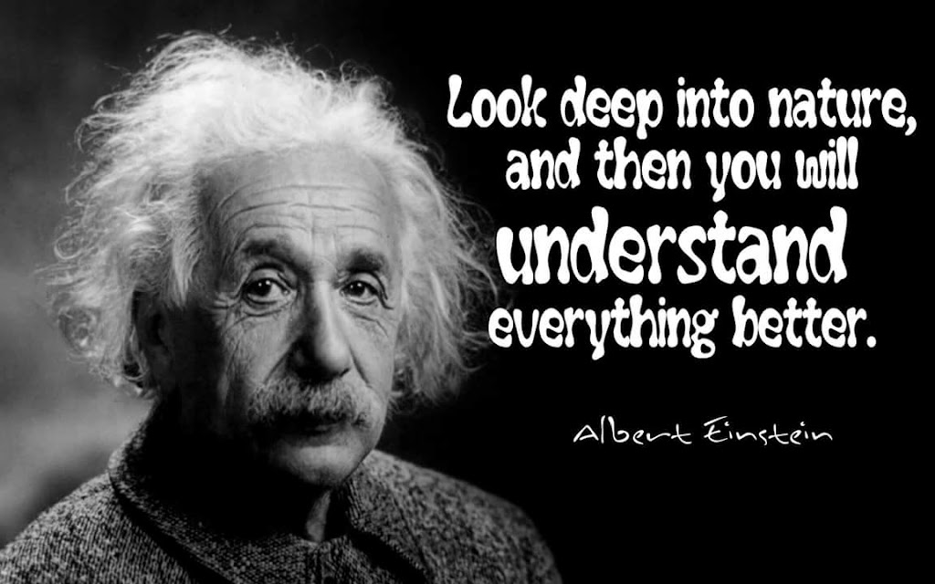 Transformational Coaching & Professional Services - Be The Dream LLC | 1863 W Homestead Dr, Chandler, AZ 85286, USA | Phone: (480) 633-7179