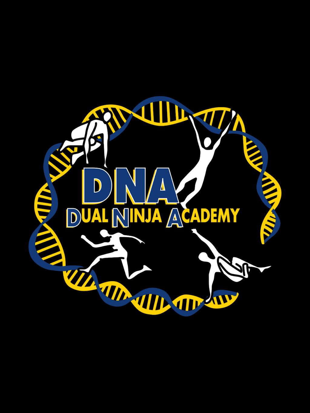 Dual Ninja Academy | 90 Herricks Rd, Mineola, NY 11501, USA | Phone: (516) 699-8905