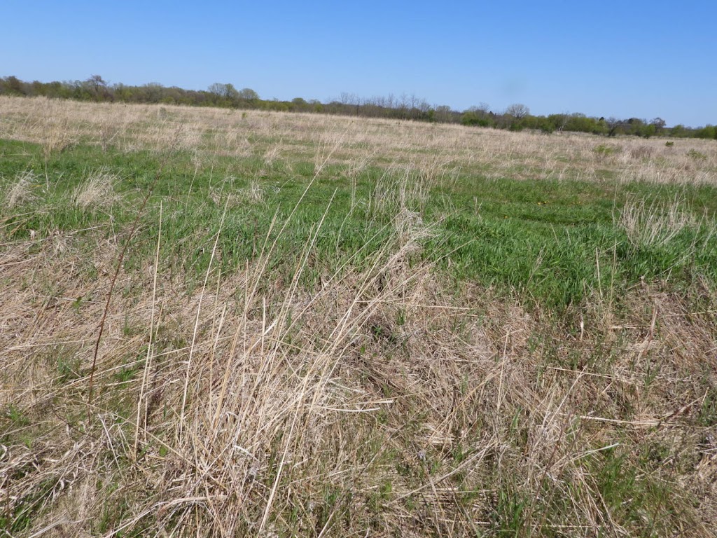 Hook Lake Wildlife Area | 4564 Rutland Dunn Town Line Rd, Oregon, WI 53575, USA | Phone: (888) 936-7463