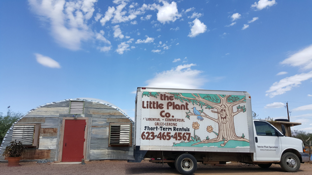 Amys Little Plant Co. | 35815 N 7th St, Phoenix, AZ 85086, USA | Phone: (623) 465-4567