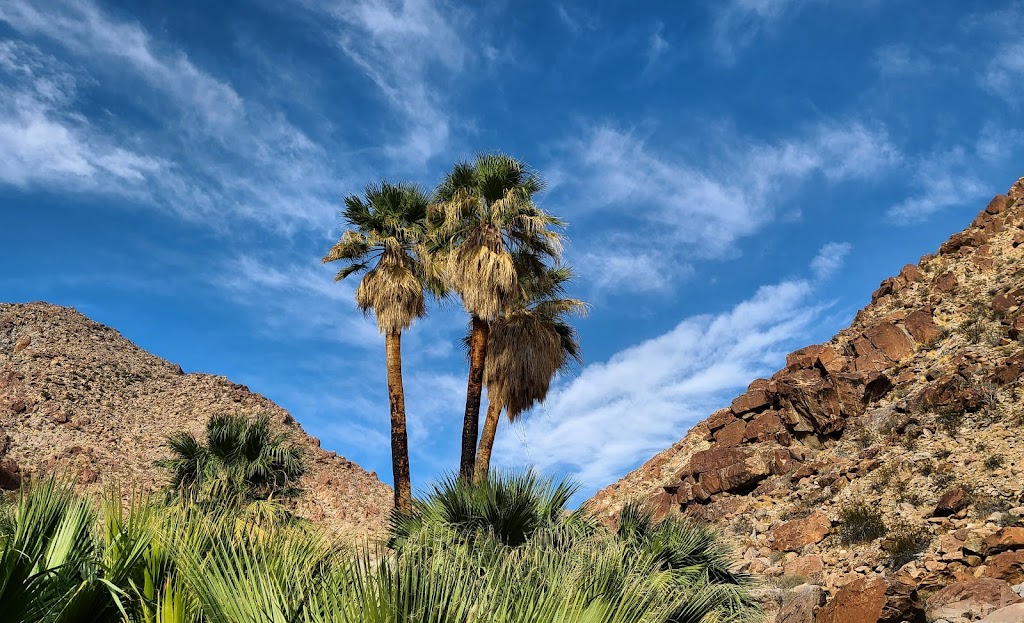 Anza Borrego State Park | Borrego Springs, CA 92004, USA | Phone: (760) 767-4205