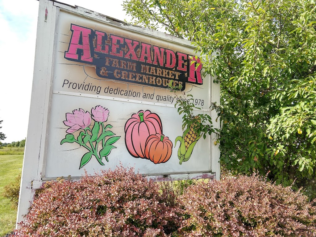 Alexander Farm Market & Greenhouses | 6925 Whitmore Lake Rd, Whitmore Lake, MI 48189, USA | Phone: (734) 741-1064