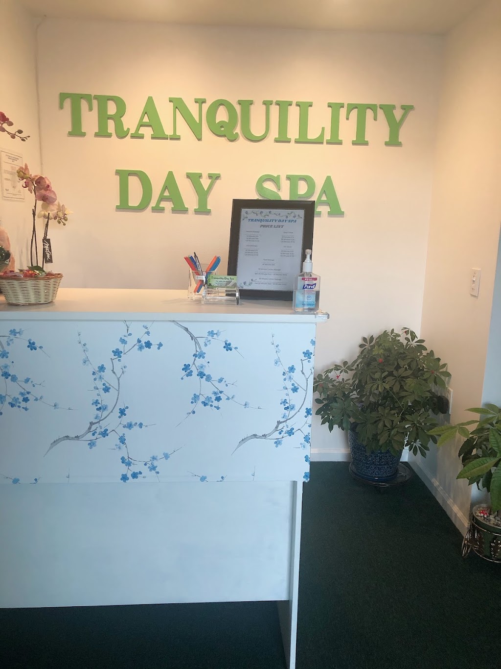 Tranquility Day Spa (Capitol Ave) | 1671 N Capitol Ave, San Jose, CA 95132, USA | Phone: (408) 259-9888