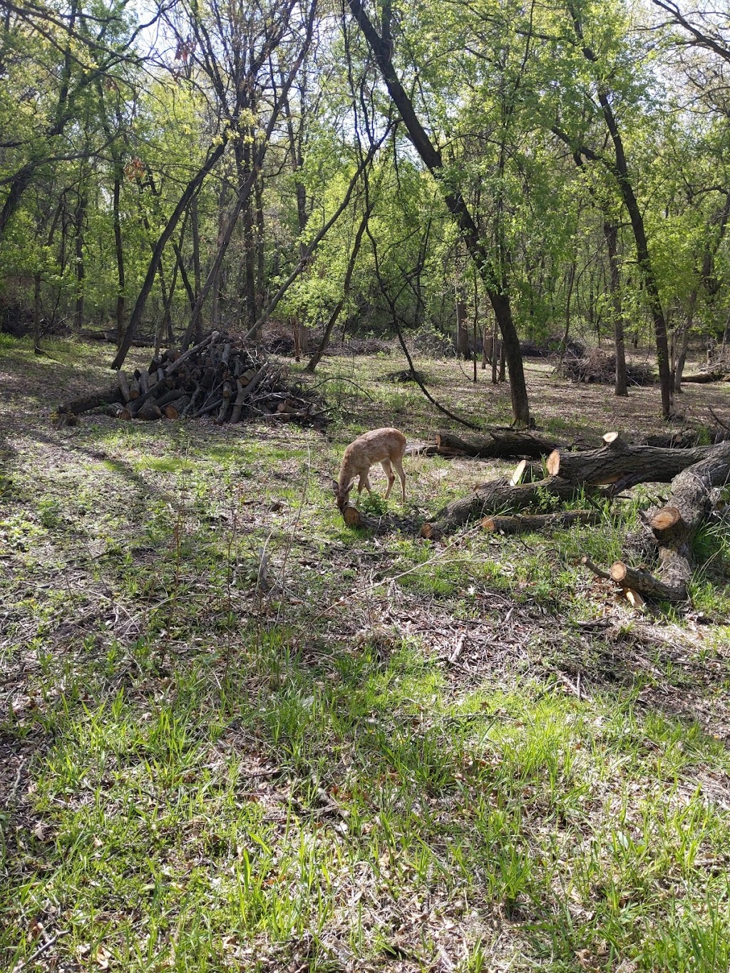 Alimagnet Dog Park | 1200 Alimagnet Pkwy #2, Burnsville, MN 55337, USA | Phone: (952) 895-4500