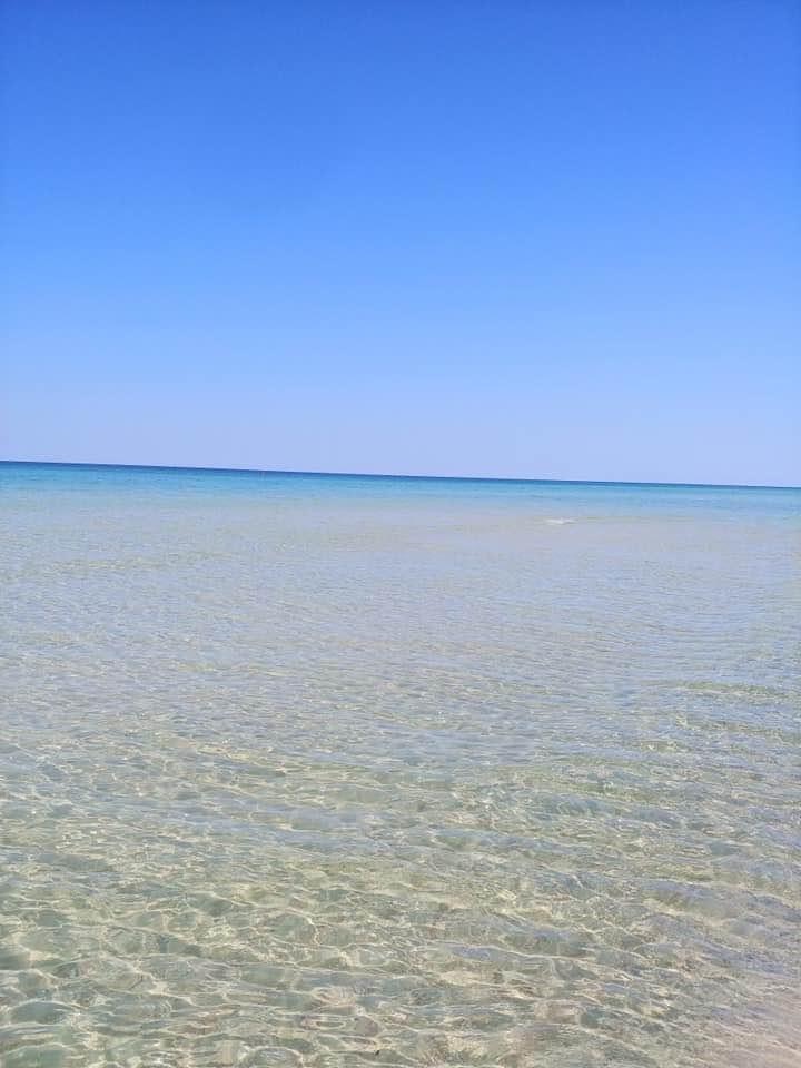 Paradise Sunset Travels | 6531 Gorsuch Rd, Franklin, OH 45005, USA | Phone: (937) 838-5767